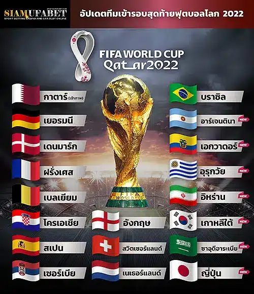 ตารางแข่งขันฟุตบอลโลก 2022