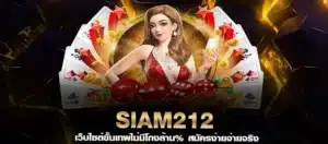 Read more about the article siam212