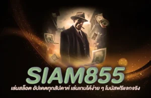 Read more about the article siam855